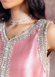 SRA Wedding Festive Organza Hand Emblishment Unstitched Collection AYDA